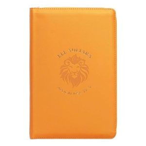 Bíblia NVI - Coleção A Promessa - Laranja