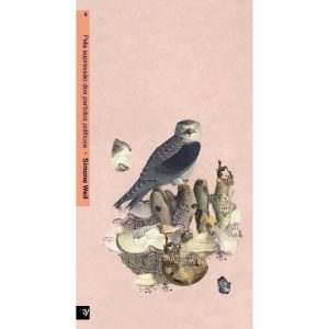 Que Paraíso é Esse?