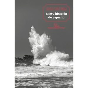 Breve História do Espírito