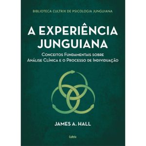 A Experiência Junguiana - Conceitos Fundamentais Sobre Análise Clínica e o Processo de Individuação