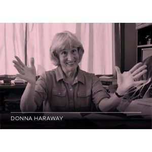 Quando As Espécies Se Encontram