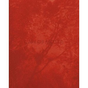 Carlos Motta - Marcenaria, Arquitetura e Design