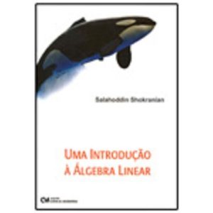Uma Introdução à Álgebra Linear