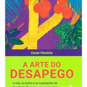 A Arte do Desapego - A Vida, as Lições e as Superações de Humberto Carneiro, Um Empresário do Brasil