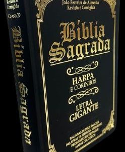 Bíblia Sagrada Evangélica - Harpa e Corinho - Full Collor