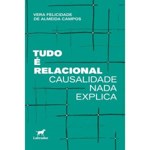 Tudo É Relacional - Causalidade Nada Explica
